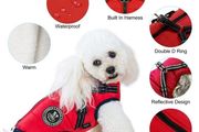 Poseca Insulated - waterproof Dog Jacket, small dog, integrated harness loop