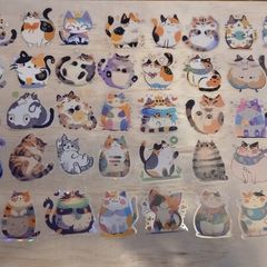 50pcs Cat Transparent Stickers Decals