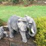 garden Image 4