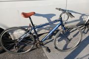 apollo mountain bike