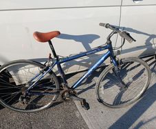 apollo mountain bike