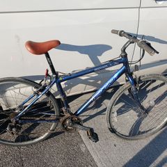 apollo mountain bike