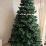 christmas tree Image 2