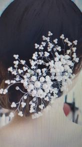 Bridal / Bridesmaid Hair Combs