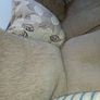 3 and 1 sofa Image 4