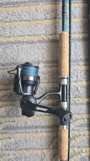 Brand New Abu Garcia Beast Pike Rod
