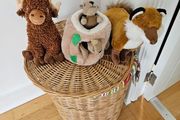 3 dog toys