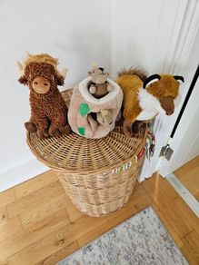 3 dog toys