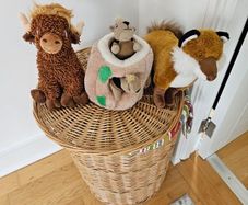3 dog toys