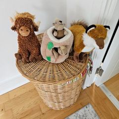 3 dog toys