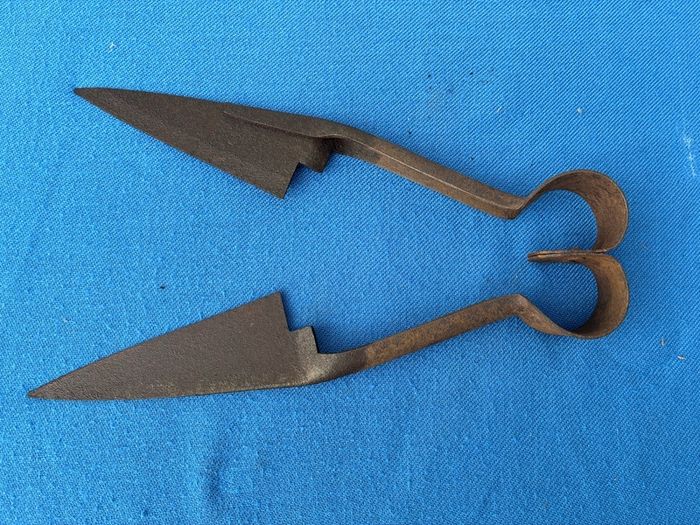 Vintage sheep shears