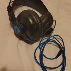 Alesis SRP100 Studio Headphones