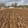 Vogel and noot 2 furrow reversible plough Image 8