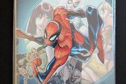 The Amazing Spider-Man #1 Variant (Marvel - 2013)