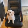 Black Leather Chair Image 6