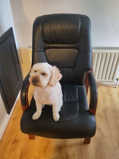 Black Leather Chair