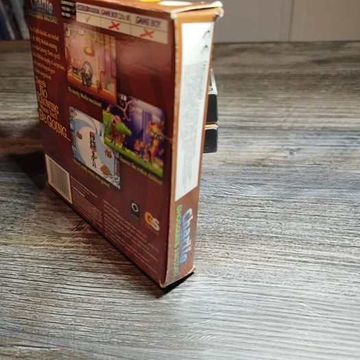 Charlie and the chocolate factory GameBoy Advance