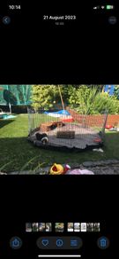 Guinea pig run cage