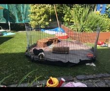 Guinea pig run cage
