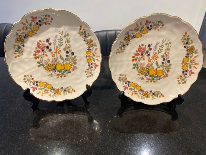 Aynsley 8.5 inch Somerset plates stunning