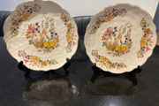 Aynsley 8.5 inch Somerset plates stunning