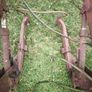 front loader Quicke Image 6