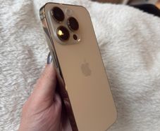 14 Pro Gold