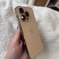 14 Pro Gold