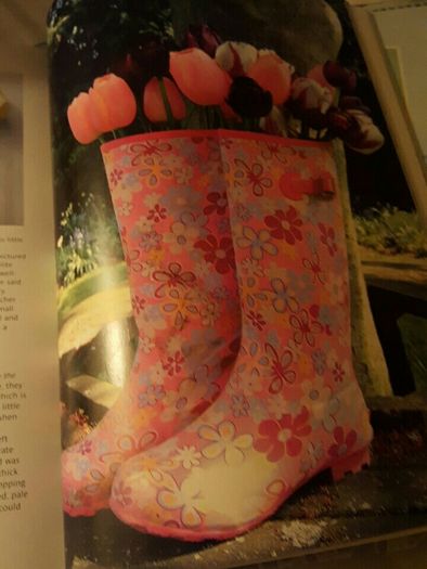 Domestic Goddess Books