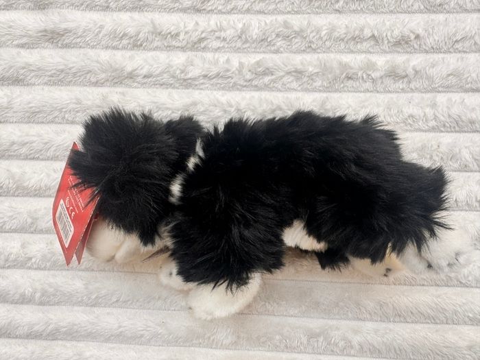 Keel Toys Jessie Border Collie Black White Dog Soft Plush approx. 25 cm. Blue Collar Used Please see photos