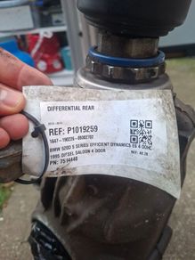 Rear Differential