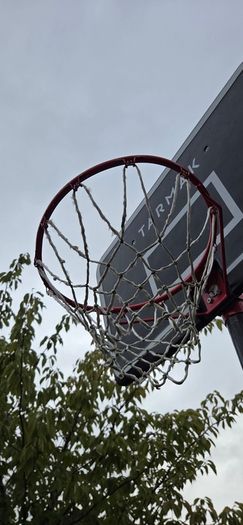 Decathlon TARMAK B100 Easy Basketball Hoop