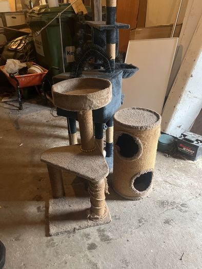 Cat climbers