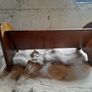 Oak Book Trough with Inlaid Border Image 4