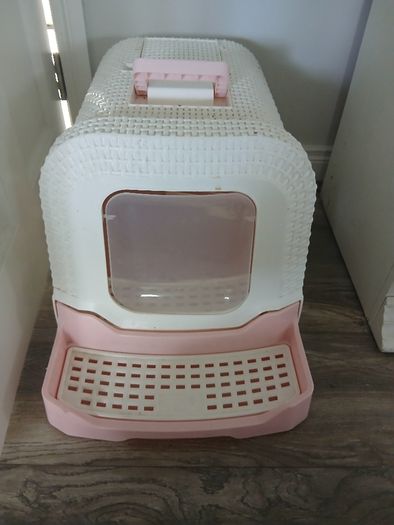 cat litter box pink