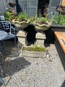 outdoor garden