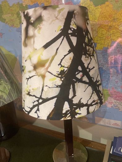Will sell separately- Solid Dark Wood Pillar Lamp ( with chrome base ) with a lovely green floral / foliage brand new shade - And K Amsterdam