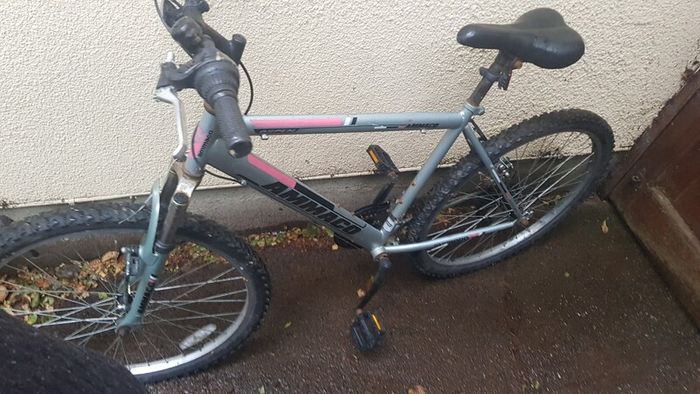Mountain bike