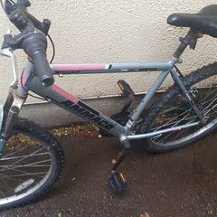 Mountain bike