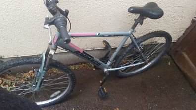 Mountain bike