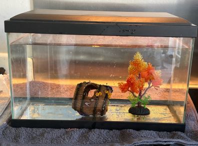 fish tank