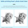 Mini-printer, Thermal Printer Ink-free Portable Sticker Printer Compatible with IOS and Android, Wireless Photo Printing Tags Image 5