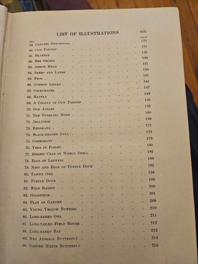 My Life As A Naturalistic. By W. Percival Westell. First Edition 1918 Hardback In Fair Condition.  See Photos For Same.