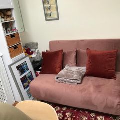 Pink velvet sofa bed