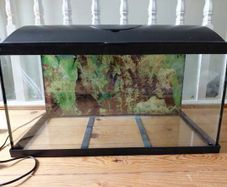 Fish Tank