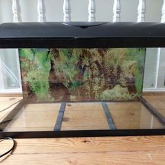 Fish Tank