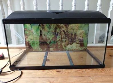 Fish Tank