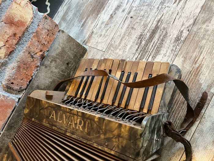 vintage Accordion