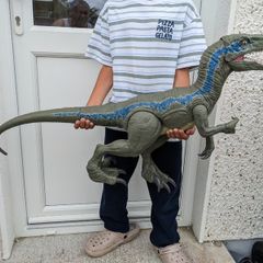 Dinosaur Toys