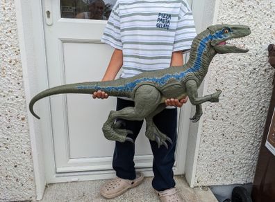 Dinosaur Toys